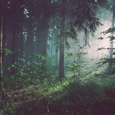 火狐官网手机app下载