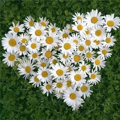 斗牛游戏大厅app下载