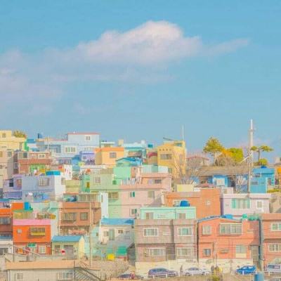 半岛游戏官方网站入口截图