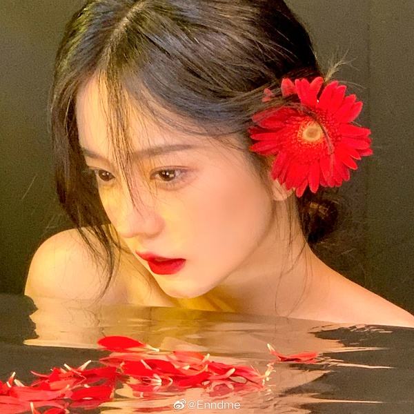 澳门天天免费资料大全下载手机app下载